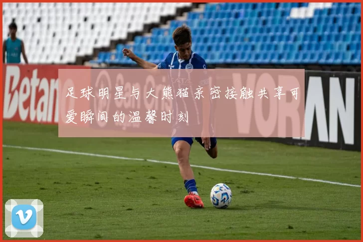 足球明星与大熊猫亲密接触共享可爱瞬间的温馨时刻