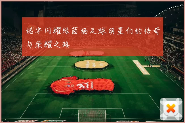 诺字闪耀绿茵场足球明星们的传奇与荣耀之路