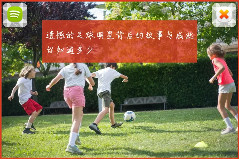 遗憾的足球明星背后的故事与成就你知道多少