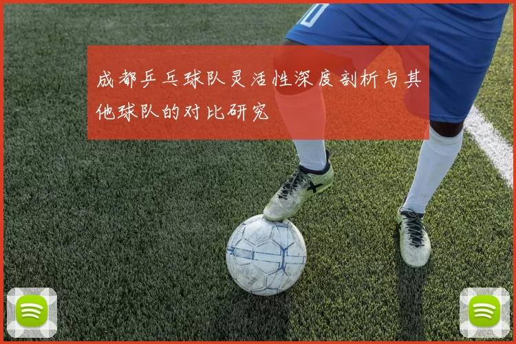 成都乒乓球队灵活性深度剖析与其他球队的对比研究