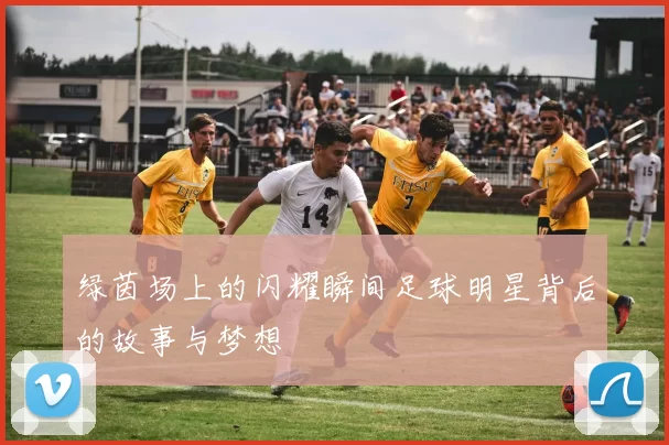 绿茵场上的闪耀瞬间足球明星背后的故事与梦想