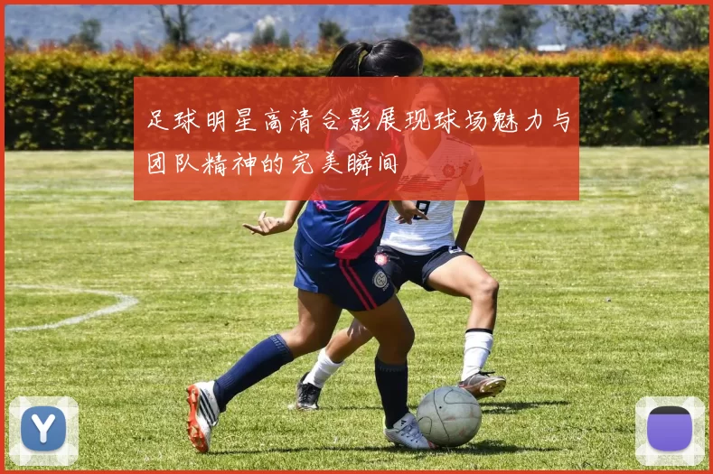 足球明星高清合影展现球场魅力与团队精神的完美瞬间