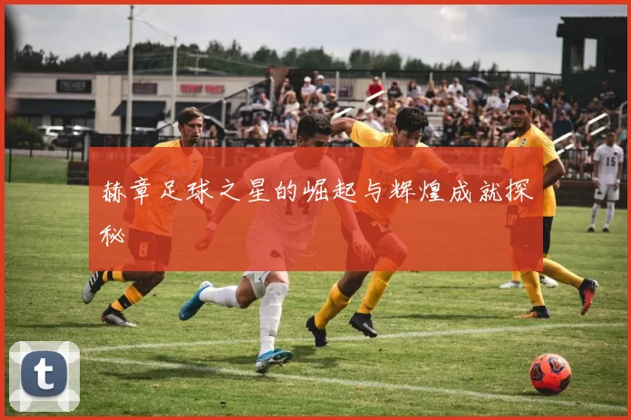 赫章足球之星的崛起与辉煌成就探秘
