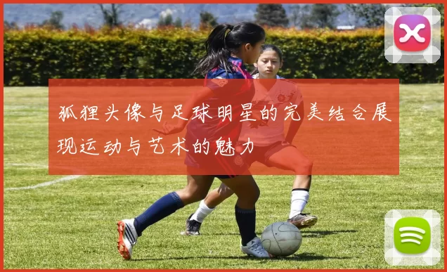 狐狸头像与足球明星的完美结合展现运动与艺术的魅力
