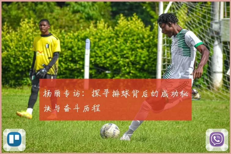 杨丽专访：探寻排球背后的成功秘诀与奋斗历程