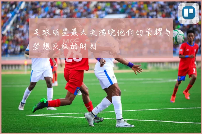 足球明星最大奖揭晓他们的荣耀与梦想交织的时刻