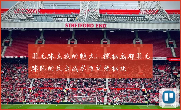 羽毛球竞技的魅力：探秘成都羽毛球队的反击战术与训练秘诀