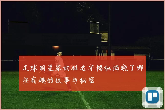 足球明星家的猫名字揭秘揭晓了哪些有趣的故事与秘密