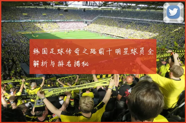 韩国足球传奇之路前十明星球员全解析与排名揭秘