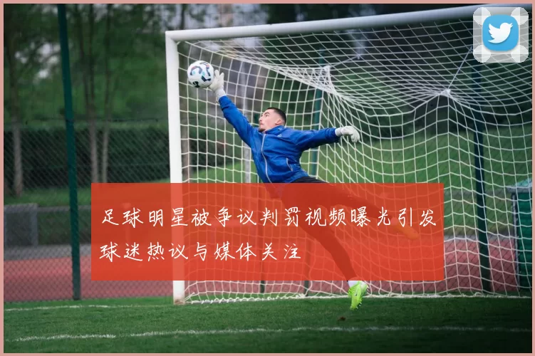 足球明星被争议判罚视频曝光引发球迷热议与媒体关注