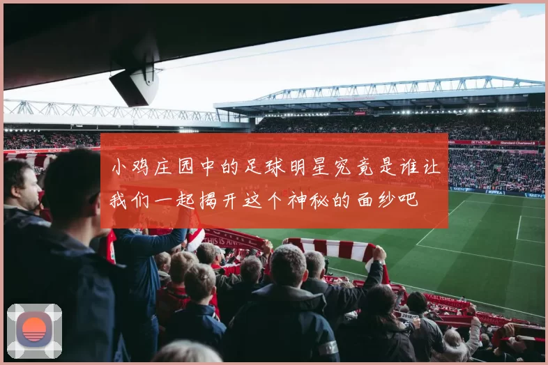小鸡庄园中的足球明星究竟是谁让我们一起揭开这个神秘的面纱吧