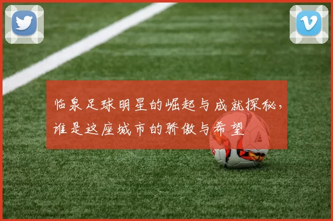 临泉足球明星的崛起与成就探秘，谁是这座城市的骄傲与希望