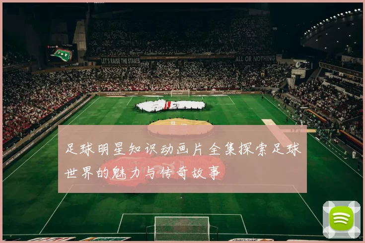 足球明星知识动画片全集探索足球世界的魅力与传奇故事
